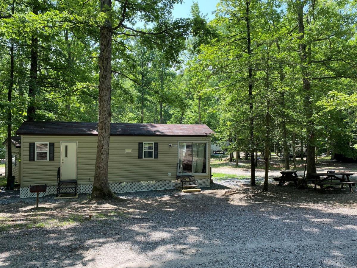 The Vintage Rv'S At Wilderness Presidential Camp Resort By Tripforth Spotsylvania Exterior photo